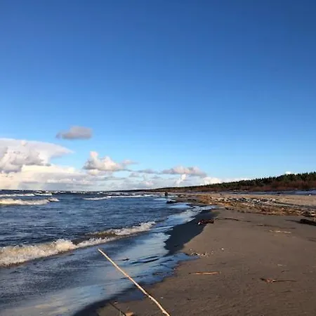 Blekit Zulaw Przemyslaw (Pomerania)